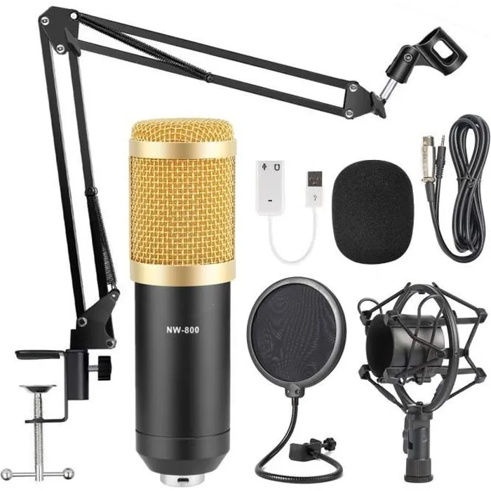 Microphone à condensateur filaire XLR ZGEER NW-800